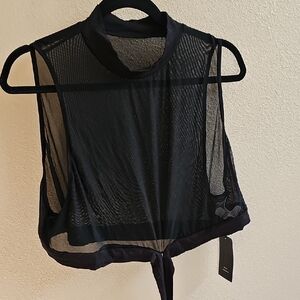 SHEIN Black Sheer Crop Top